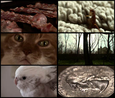 high def video thumbnails